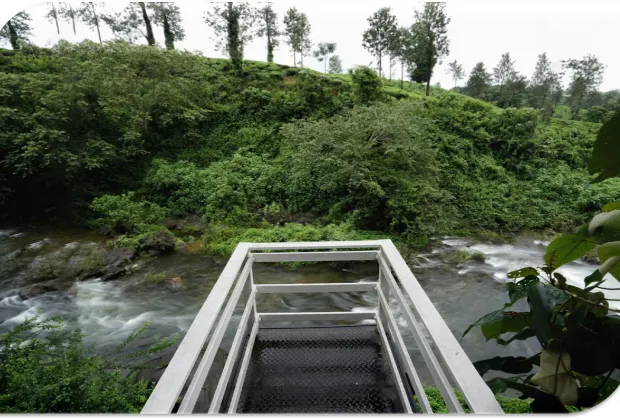 Best Wayanad Couple Honeymoon Tour Packages-Gotripzee.com