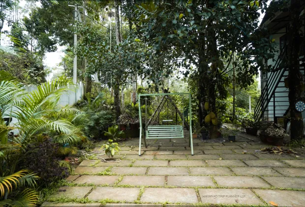 Top Wayanad Group Tour Packages-Gotripzee.com