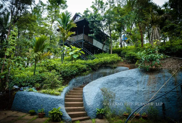 Best Wayanad Couple Honeymoon Tour Packages-Gotripzee.com