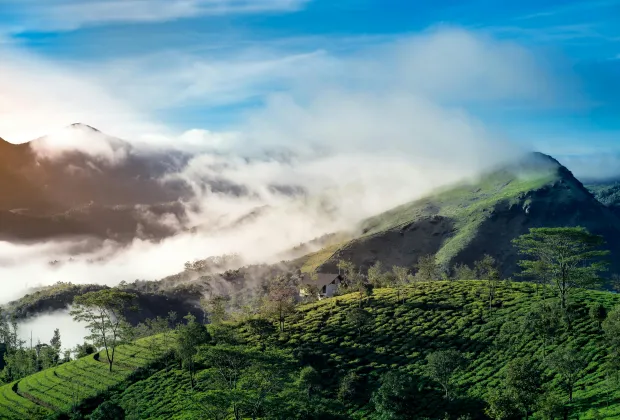 Best Munnar Couple Tour Packages