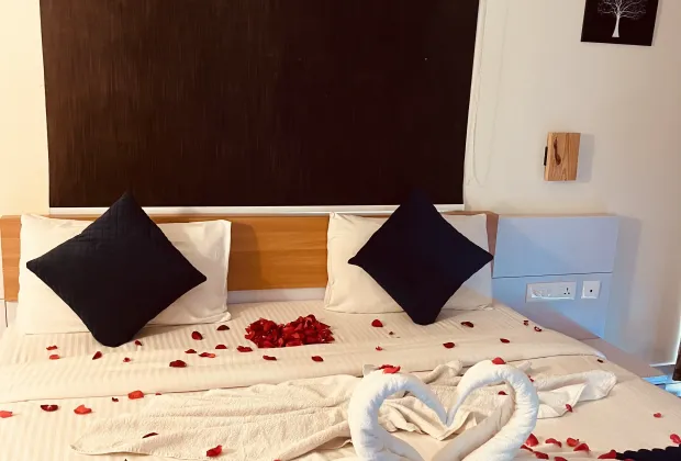 Best Wayanad Couple Honeymoon Tour Packages-Gotripzee.com