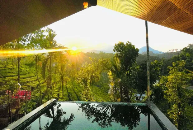 Best Wayanad Couple Honeymoon Tour Packages-Gotripzee.com