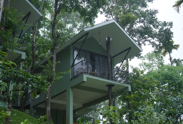 Best Wayanad Couple Honeymoon Tour Packages-Gotripzee.com