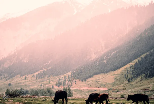 offbeat kashmir tour package | khurez valley kashmir | hidden kashmir places | 7 days kashmir itinerary | unexplored kashmir 2025 | kashmir village tours | budget offbeat kashmir trip | scenic valleys in kashmir