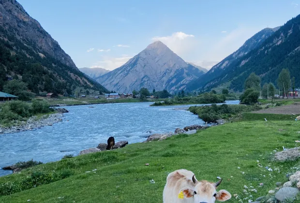 offbeat kashmir tour package | khurez valley kashmir | hidden kashmir places | 7 days kashmir itinerary | unexplored kashmir 2025 | kashmir village tours | budget offbeat kashmir trip | scenic valleys in kashmir