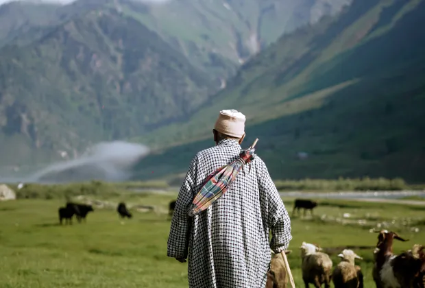 offbeat kashmir tour package | khurez valley kashmir | hidden kashmir places | 7 days kashmir itinerary | unexplored kashmir 2025 | kashmir village tours | budget offbeat kashmir trip | scenic valleys in kashmir
