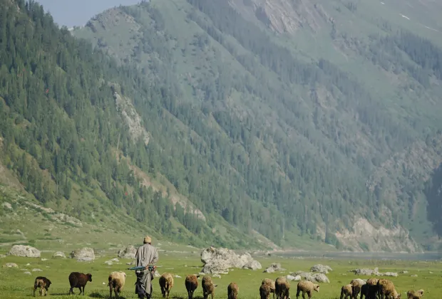 offbeat kashmir tour package | khurez valley kashmir | hidden kashmir places | 7 days kashmir itinerary | unexplored kashmir 2025 | kashmir village tours | budget offbeat kashmir trip | scenic valleys in kashmir