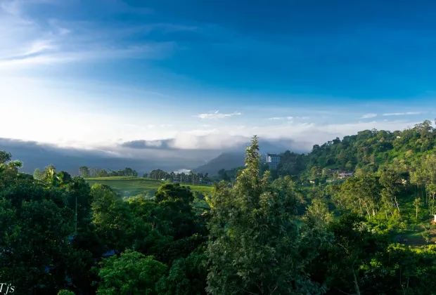 view at monsoon grande munnar