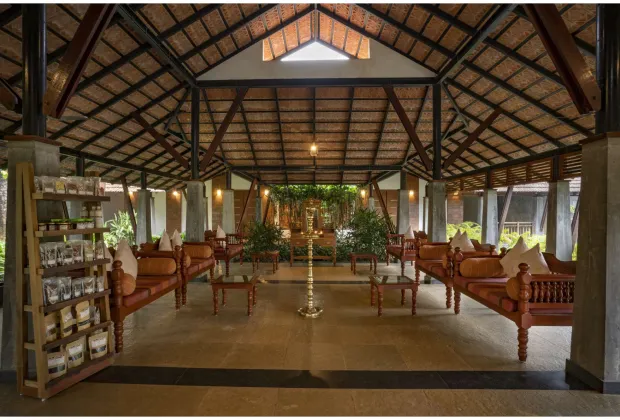 Best Wayanad Couple Honeymoon Tour Packages-Gotripzee.com