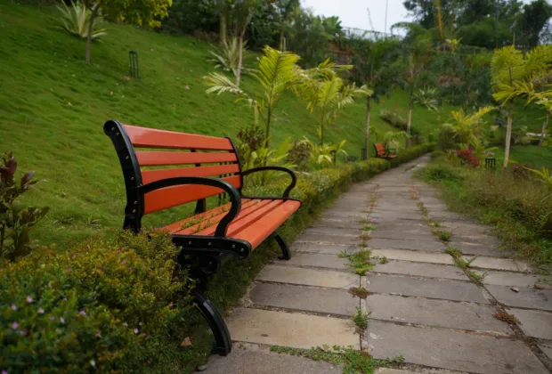 best pool resort in Wayanad