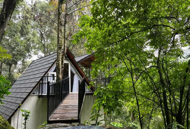 premium resort in 900 kandi wayanad, luxury stay in 900 kandi, best resorts in 900 kandi wayanad, top rated rooms in wayanad, luxury resorts in wayanad, couple friendly resorts wayanad, scenic stay wayanad, best luxury stays in wayanad, mountain view resorts wayanad, exclusive stays wayanad