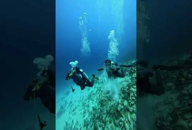 Preview image for the video "Lakshadweep Tour Packages | Best Island Getaways with Gotripzee.com #lakshadweepislands".