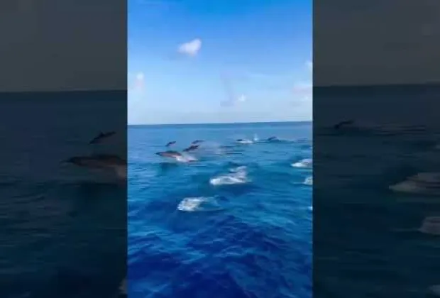 Preview image for the video "Best Lakshadweep Package | Explore 4 Days 3 Nights Lakshadweep Tour | Get up to 40% OFF Packages|".