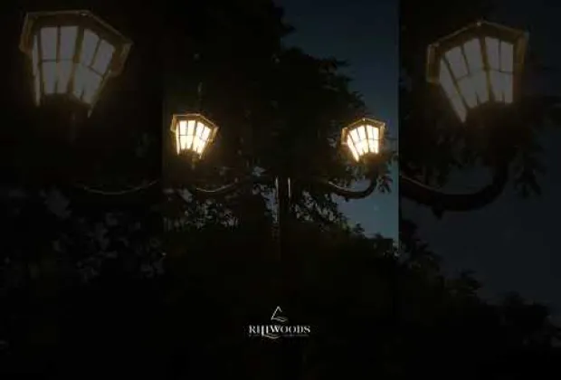 Preview image for the video "Tree House Stay in Meppadi, Wayanad | Romantic Nature Retreat in the Trees".