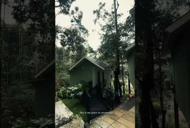Preview image for the video "Tree House Stay in Meppadi, Wayanad | Romantic Nature Retreat in the Trees".